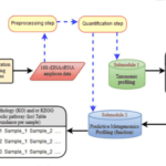 Bioinformatics Analysis of 16S rRNA Amplicon Sequencing