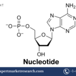 Nucleotide Price Forecast