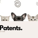 Pet Patents.