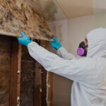 Residential Mold Remediation