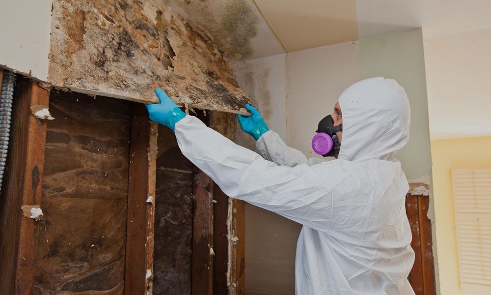 Residential Mold Remediation