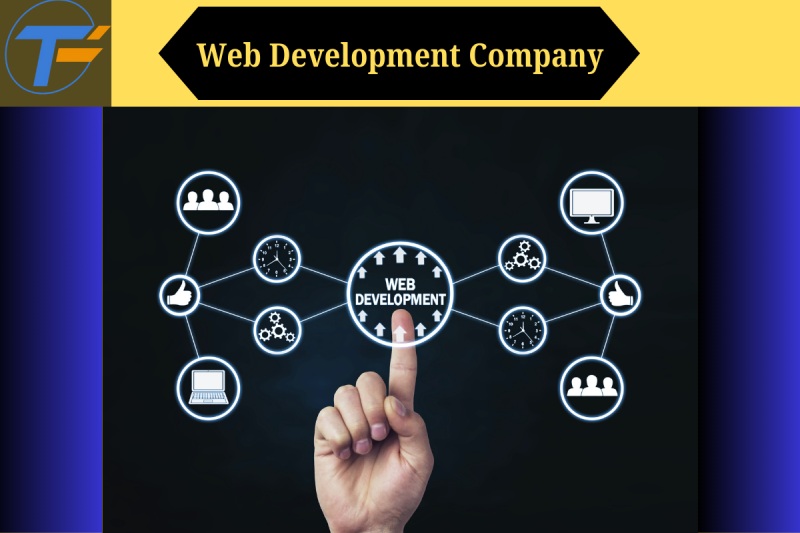 Web Development Company