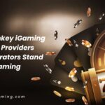 Turnkey igaming software provider