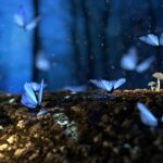 Butterflies as Spiritual Messengers and Symbols