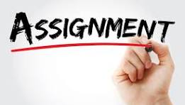 The Five Essential Types of Management Assignments Every Professional Should Know