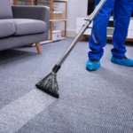 Why Your Carpets Deserve More Attention Than You Think