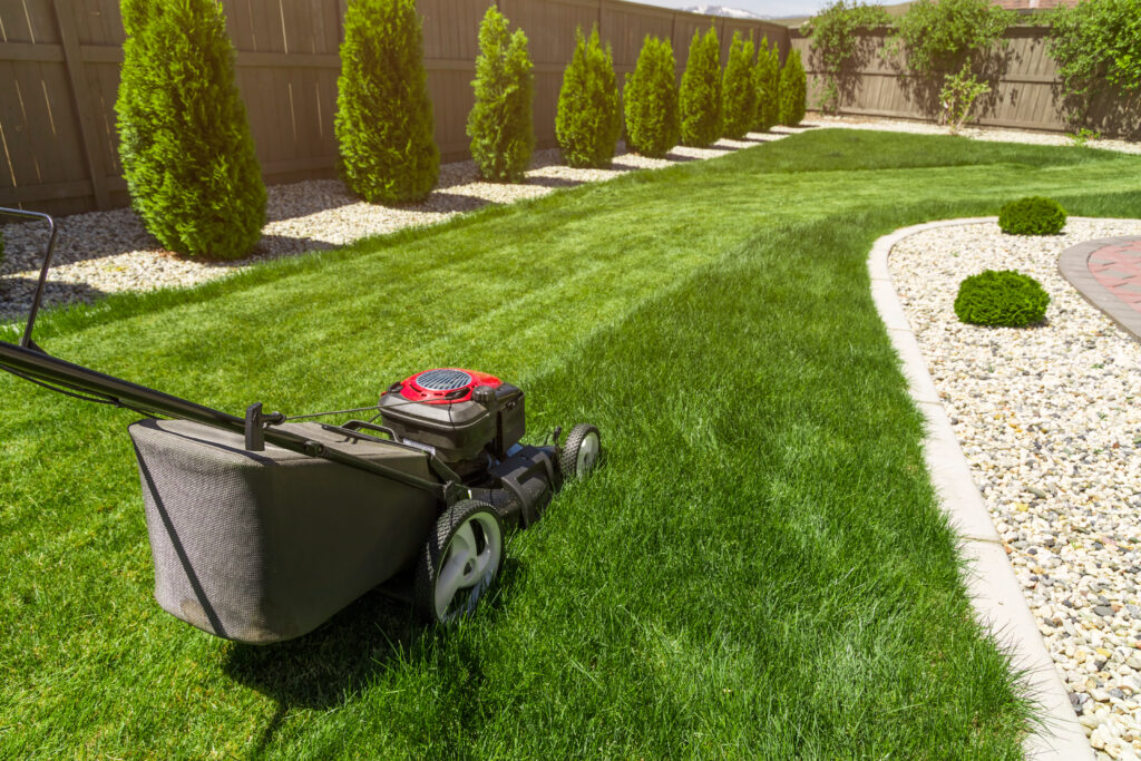 Sod Installation