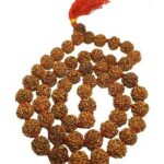 From Stress to Serenity: How Rudraksha Mala Can Transform Your Life