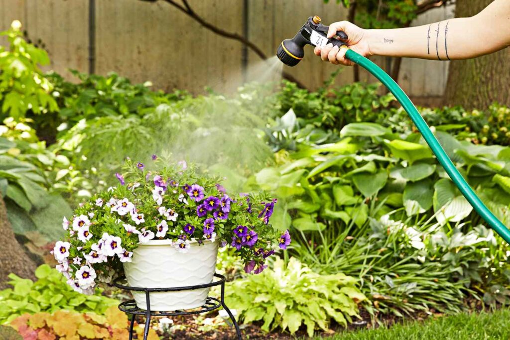 How To Prevent Kinks And Tangles In Your Garden Hose