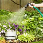 How To Prevent Kinks And Tangles In Your Garden Hose