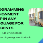 Programming Assignment Help