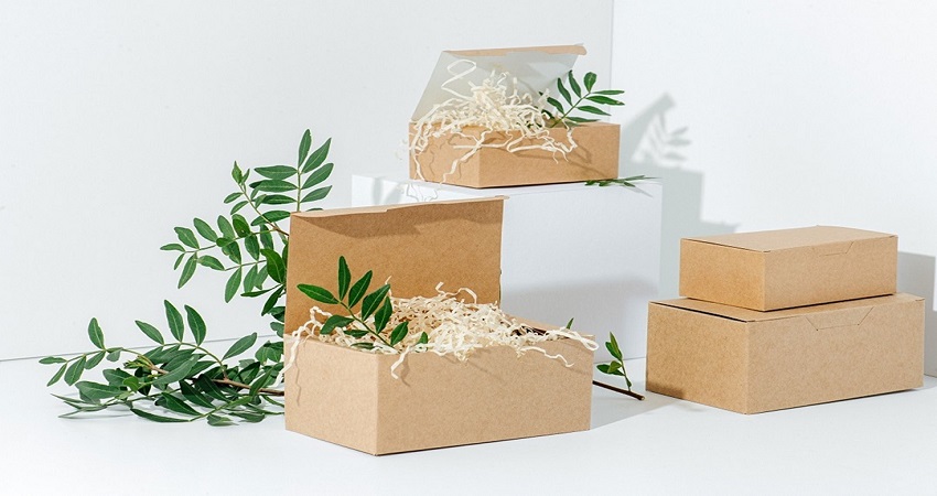 Eco Friendly Boxes