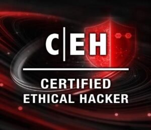 Ethical Hacking Online Course