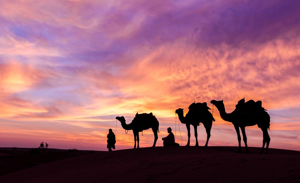 Evening Desert Safari