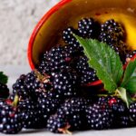 Are There Risks To Eating Wild Blackberries?