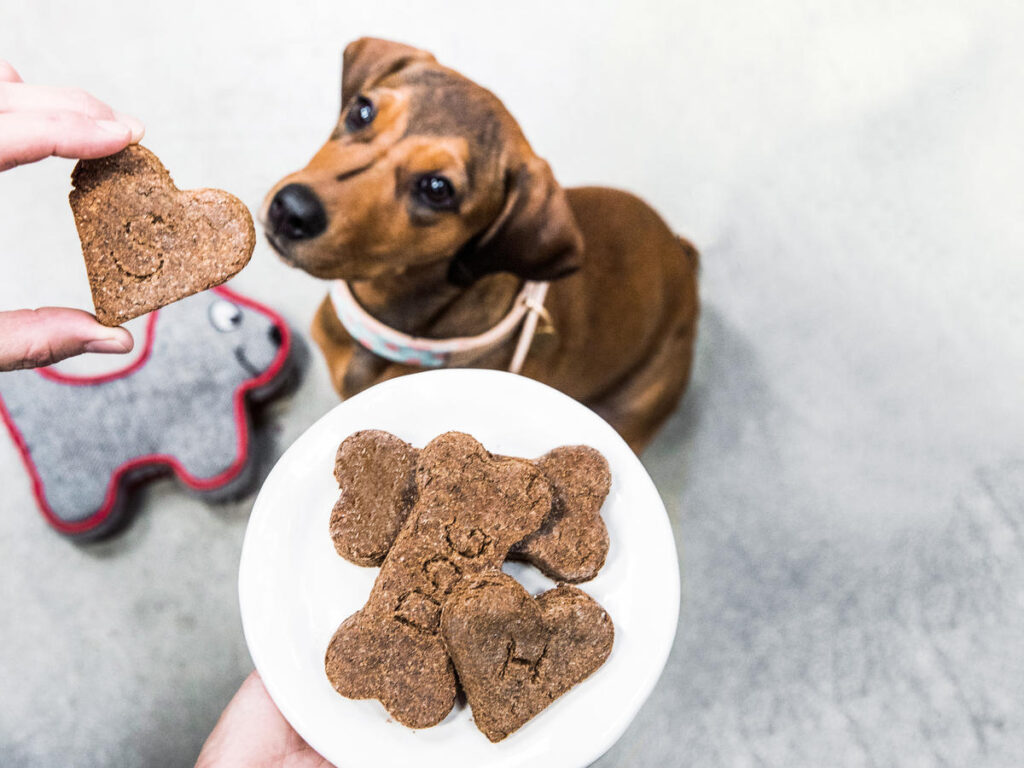 The Benefits of Natural and Organic Pet Treats