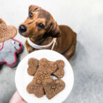 The Benefits of Natural and Organic Pet Treats