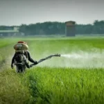 Comprehensive Guide to Pesticide Services in Lahore