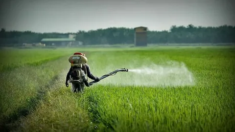 Comprehensive Guide to Pesticide Services in Lahore