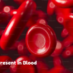 Plasma Present In Blood