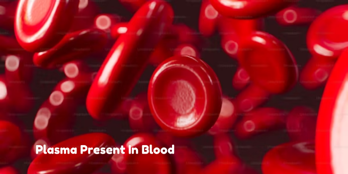 Plasma Present In Blood