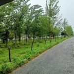 Plots for Sale in Rudrapur