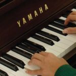 They Master the Music: Exploring Piano Services and Expertise in Texas