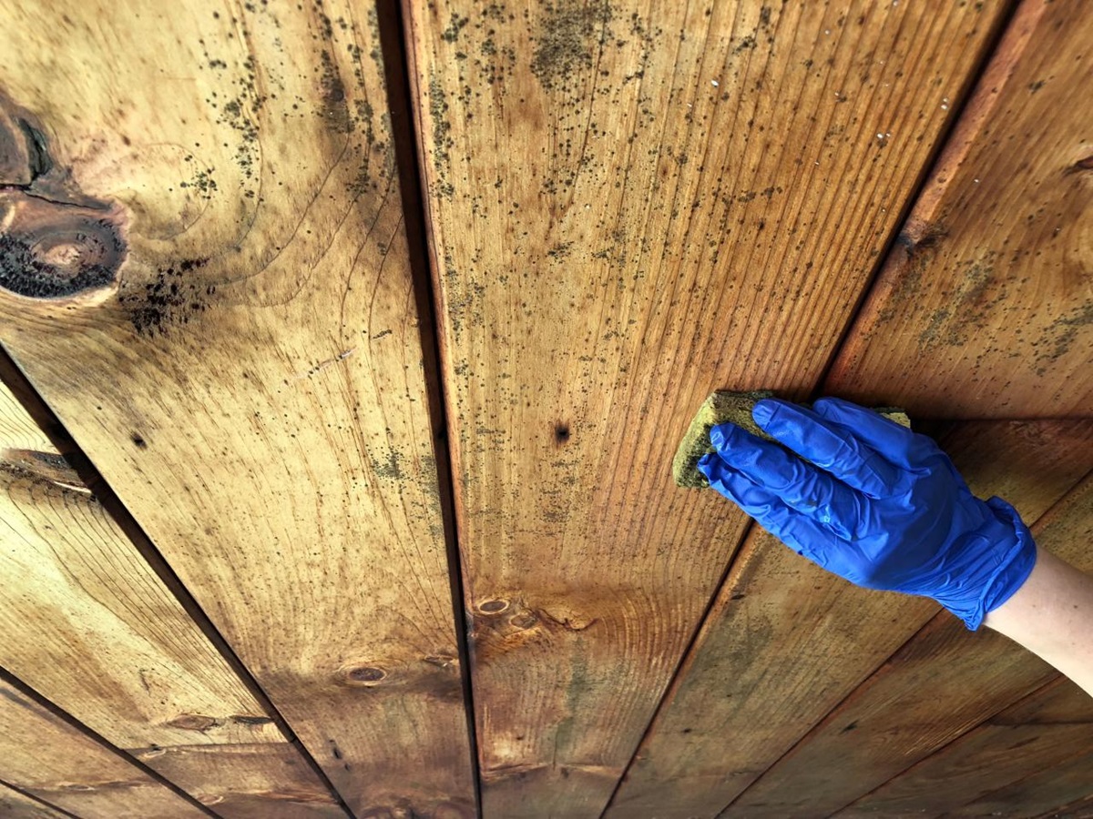 cleaning mold on wood