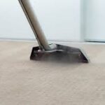 Local Carpet Cleaning Services: Fast and Affordable Solutions!