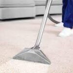 Carpet Cleaning: The Key to a Healthier, More Comfortable Home