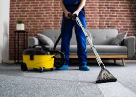 Carpet Cleaning Services: Where Clean Meets Comfort