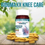 Knee Care Tablets for Seniors: Promoting Mobility and Reducing Stiffness