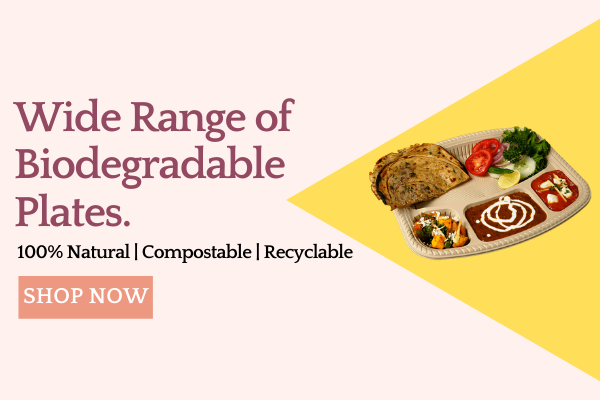 The Eco-Friendly Revolution: Biodegradable and Sugarcane Plates