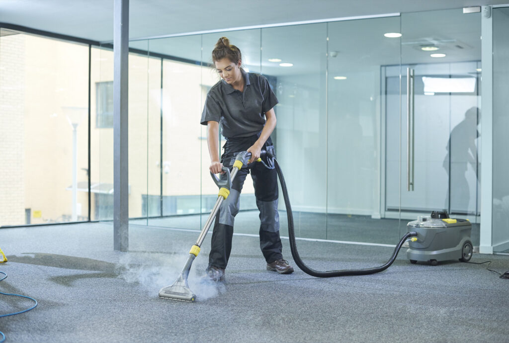 professional steam cleaning services near me