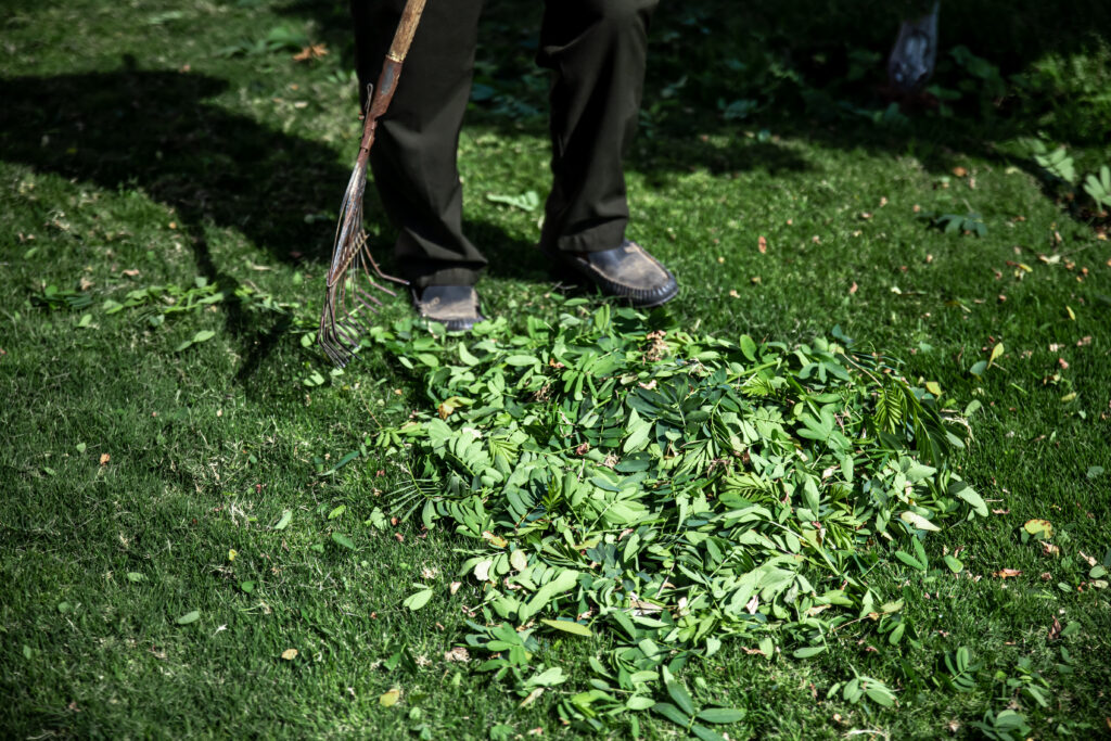 The Importance of Regular Vacant Lot Mowing for Property Owners