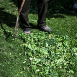 The Importance of Regular Vacant Lot Mowing for Property Owners