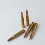 Ammunition Manufacturers in India