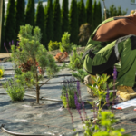 A man in green overalls works diligently in a garden, nurturing plants and enhancing the landscape with care.