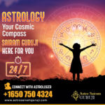 Indian astrologer in California