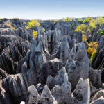 things to do in Madagascar