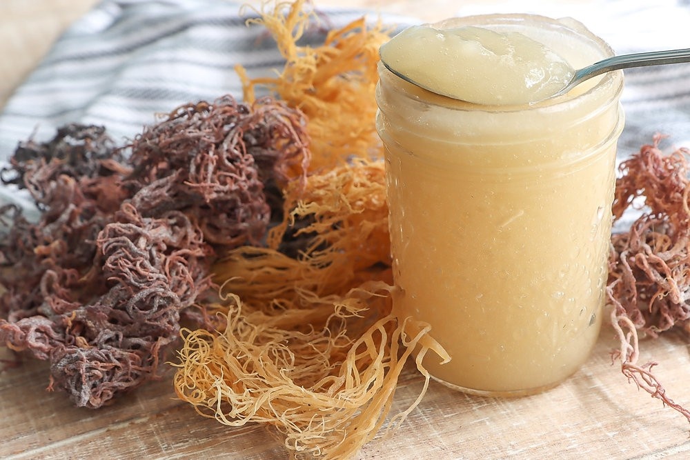 Wholesale Sea Moss