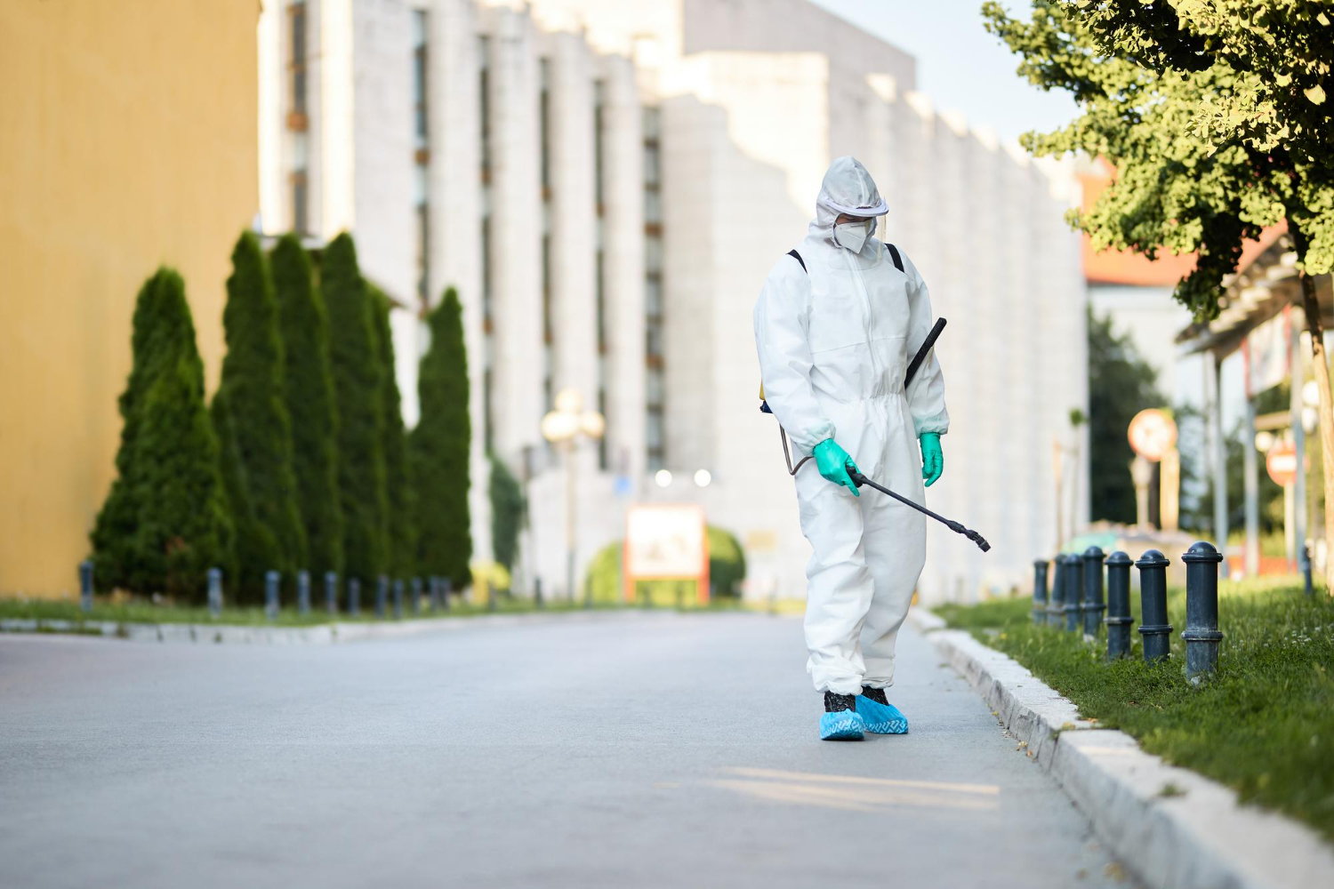Finding Reliable Local Exterminators and Pest Control Services in Gainesville