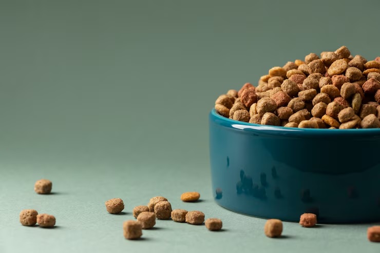 Grain-Free Dry Dog Food