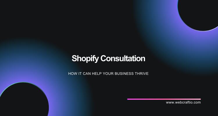 How WebCraftio’s Shopify Consultation Helped Us Launch a Winning Store