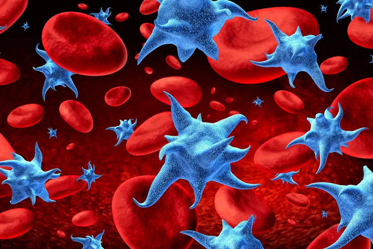 CBC Blood Test