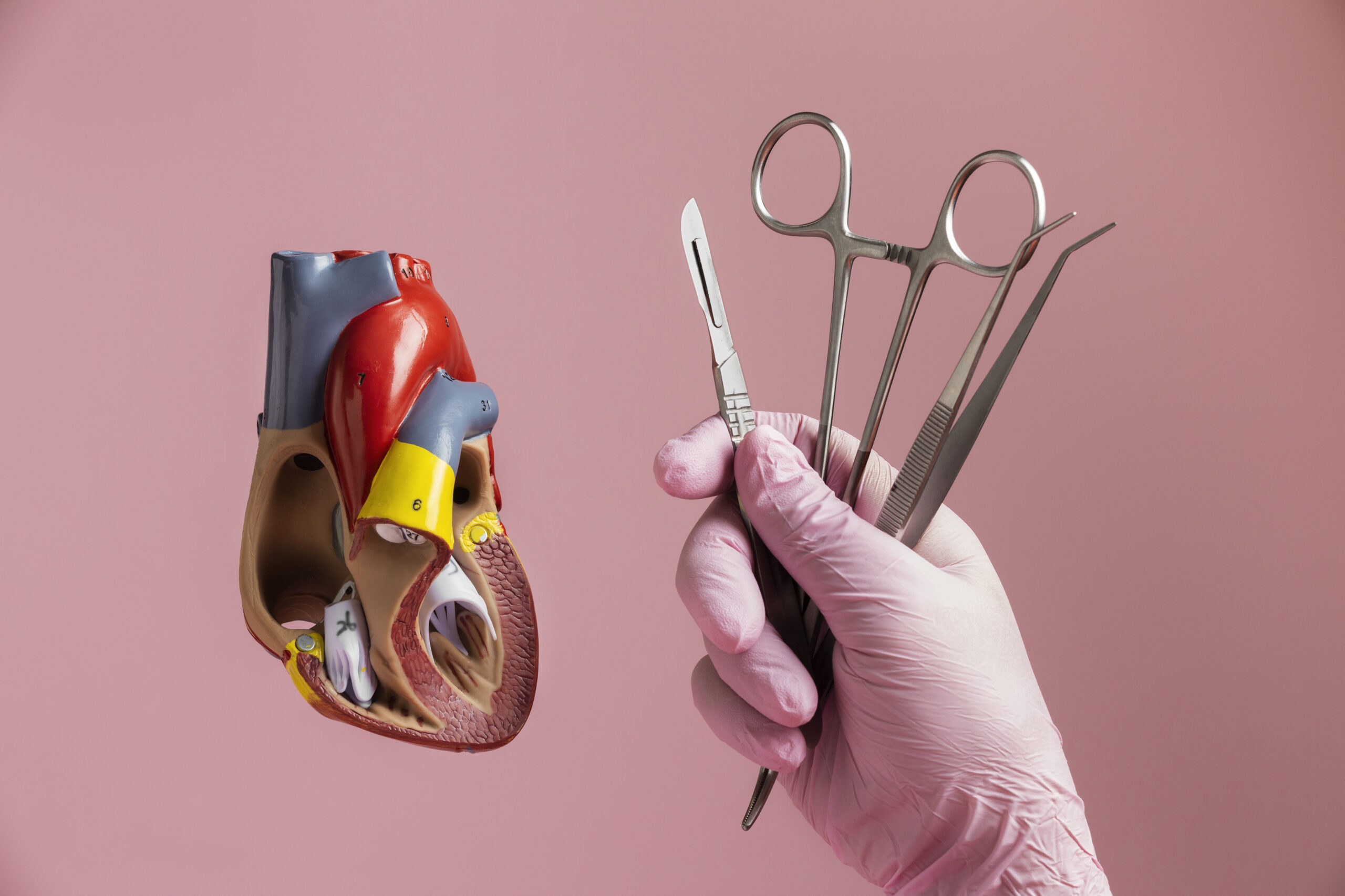 Tavr Expert