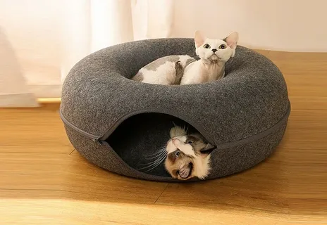 Cat tunnel bed