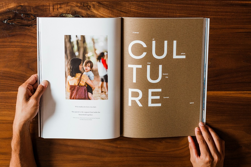 Brochure design book